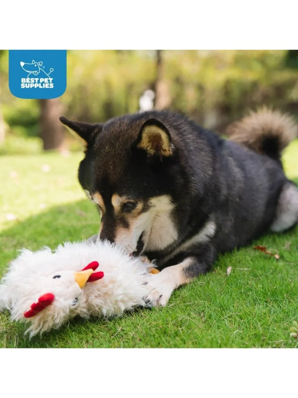 Interactive Squeaky Dog Chew Toy - Crinkle Chicken for Small, Medium & Large